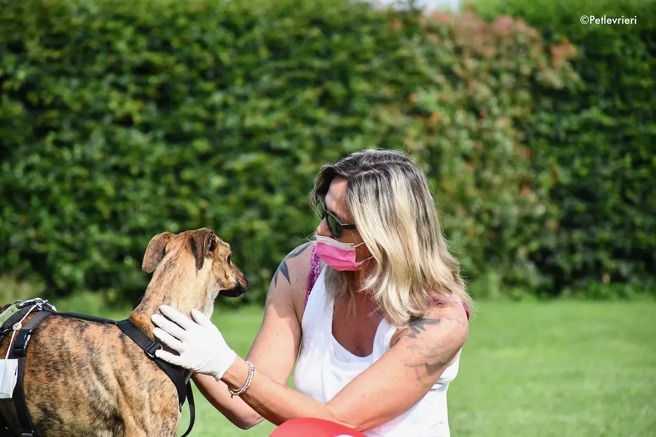adoption day galgo 23 maggio 2020 155