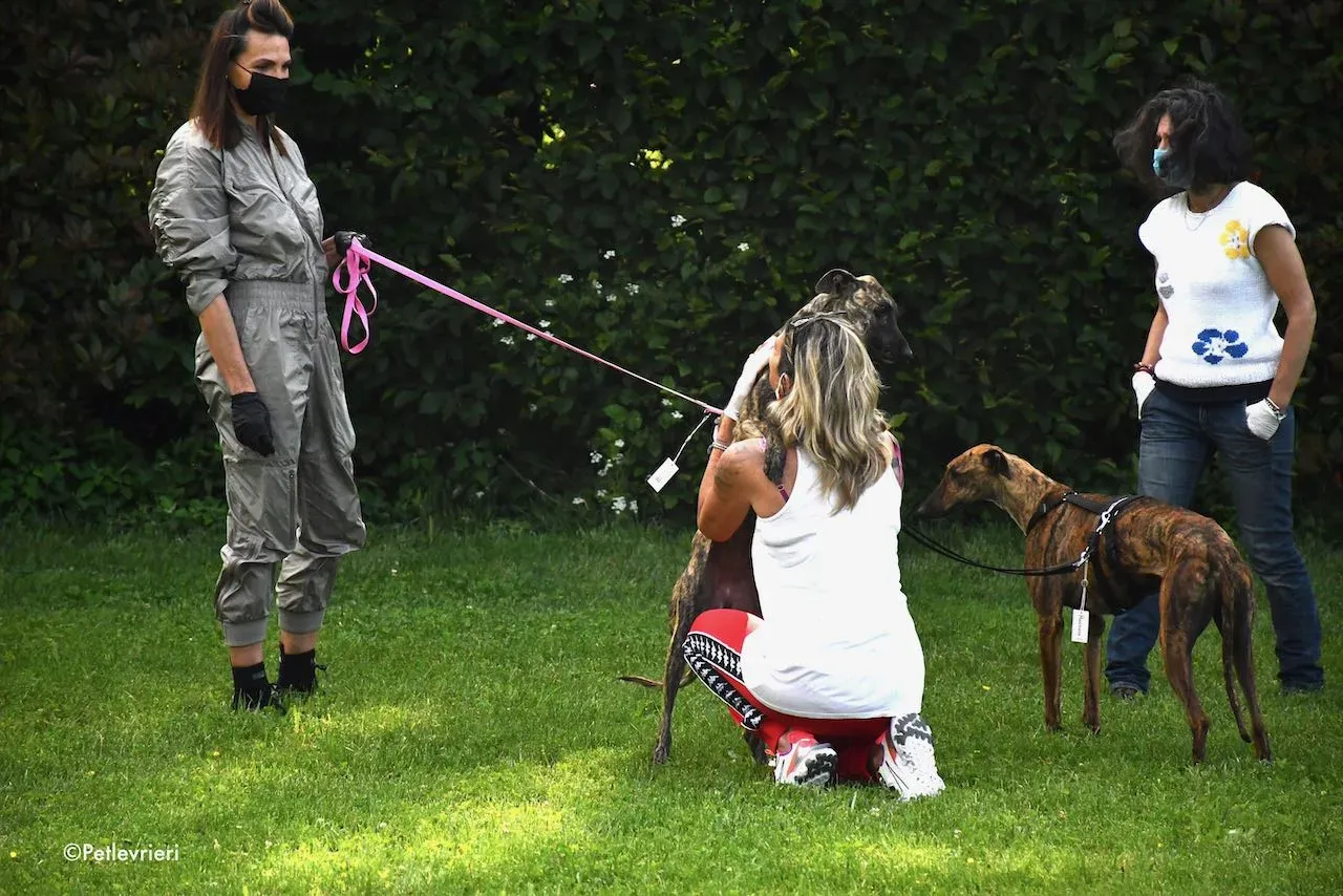 adoption day galgo 23 maggio 2020 160