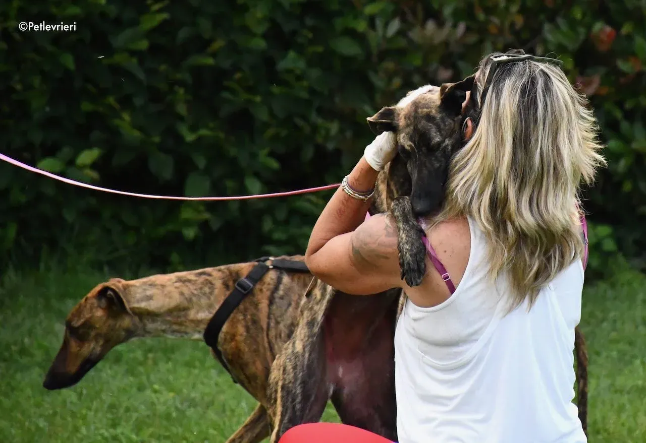 adoption day galgo 23 maggio 2020 161