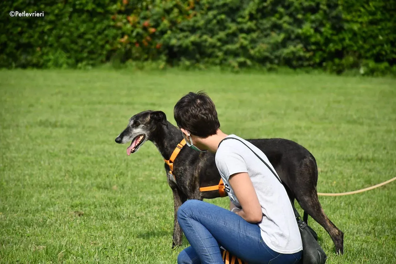 adoption day galgo 23 maggio 2020 165