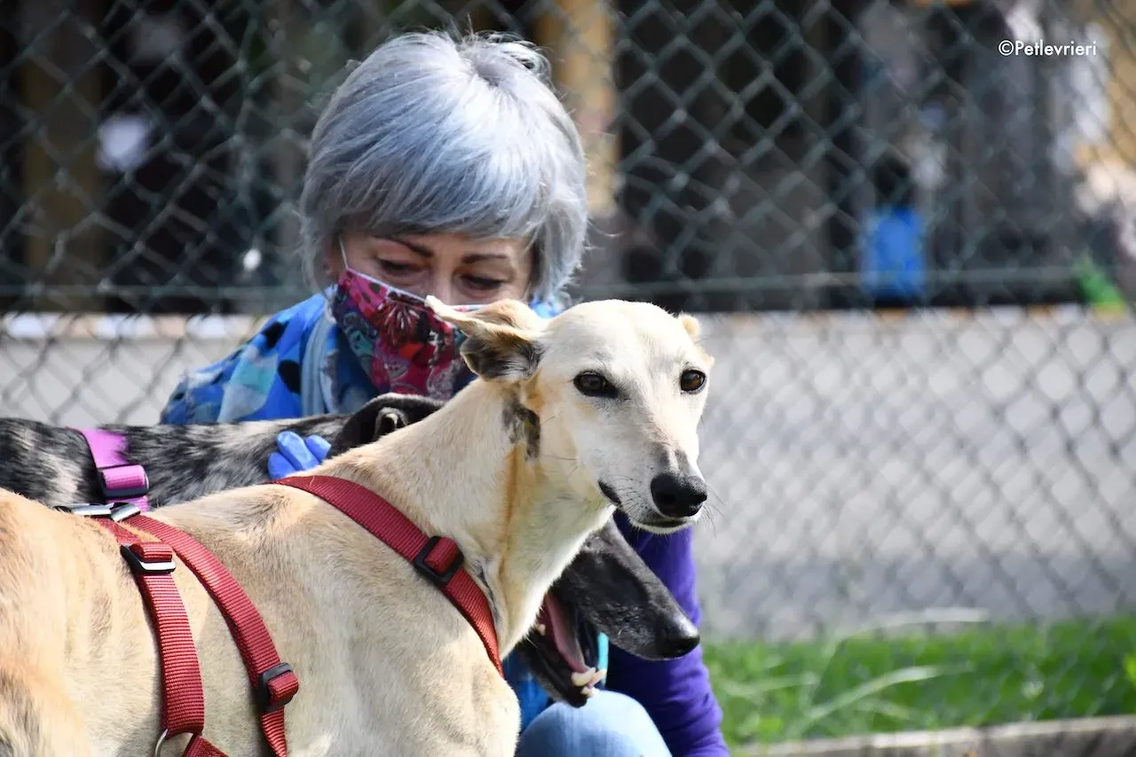 adoption day galgo 23 maggio 2020 169