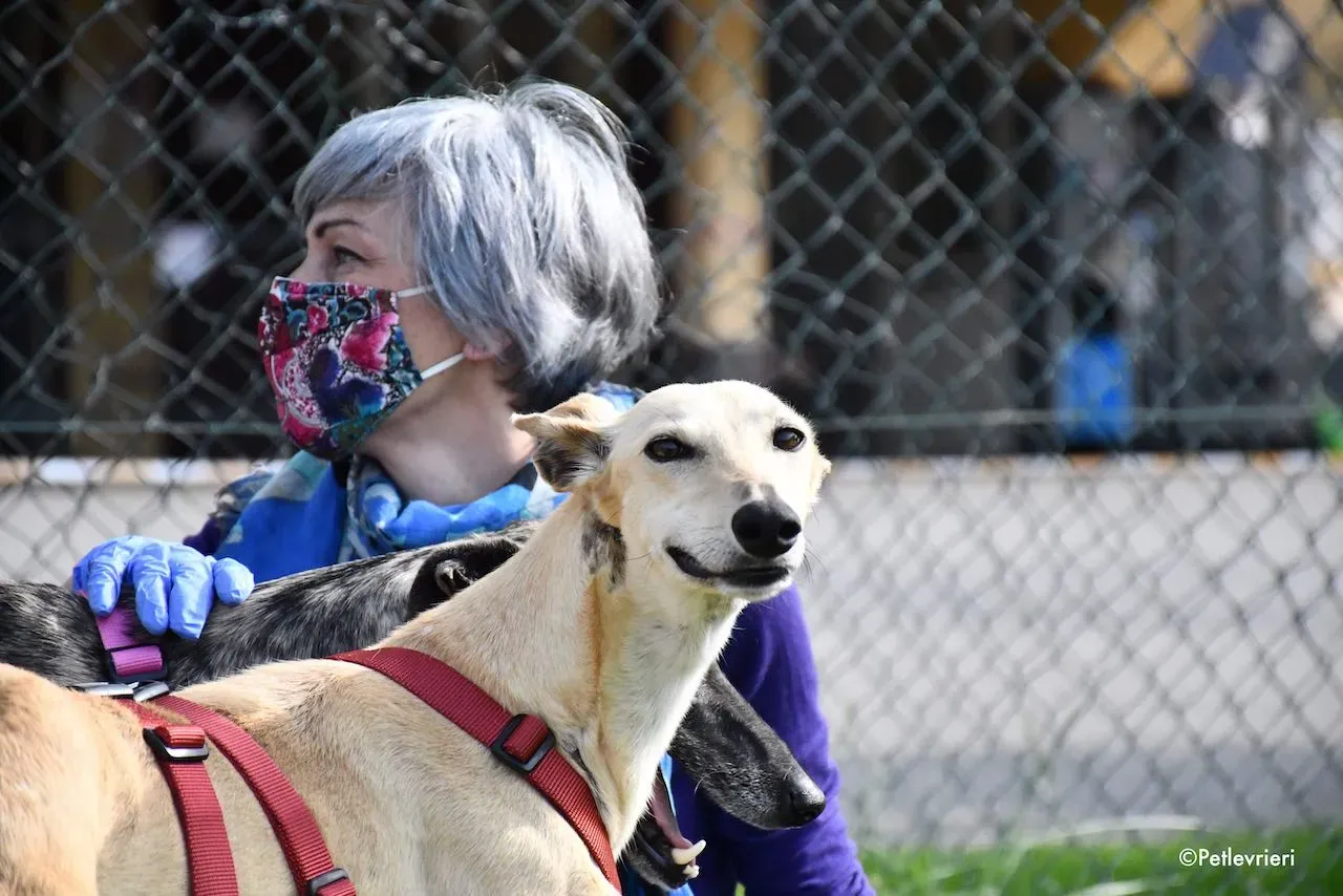 adoption day galgo 23 maggio 2020 170
