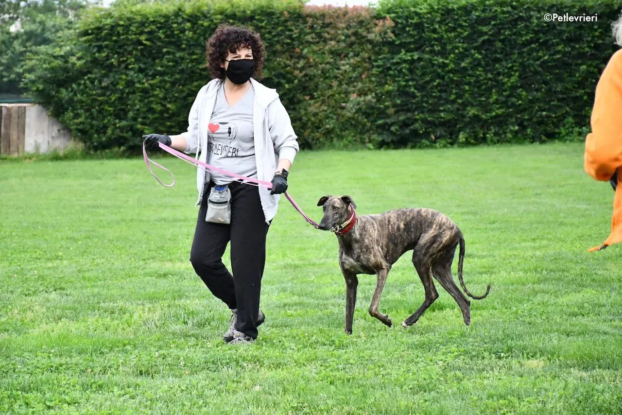 adoption day galgo 23 maggio 2020 19