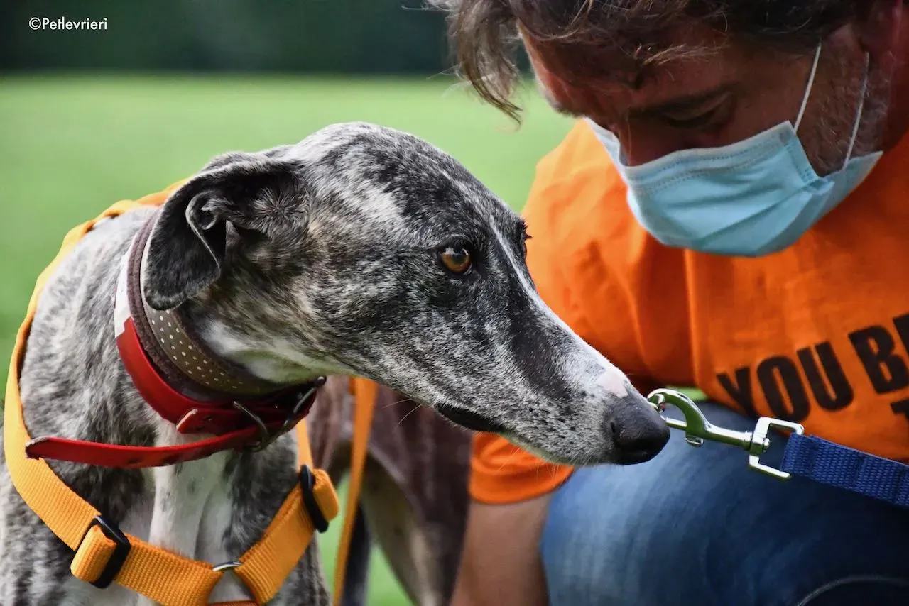 adoption day galgo 23 maggio 2020 29