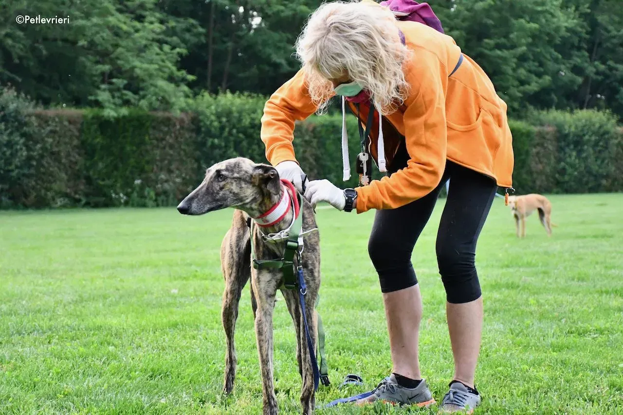 adoption day galgo 23 maggio 2020 34