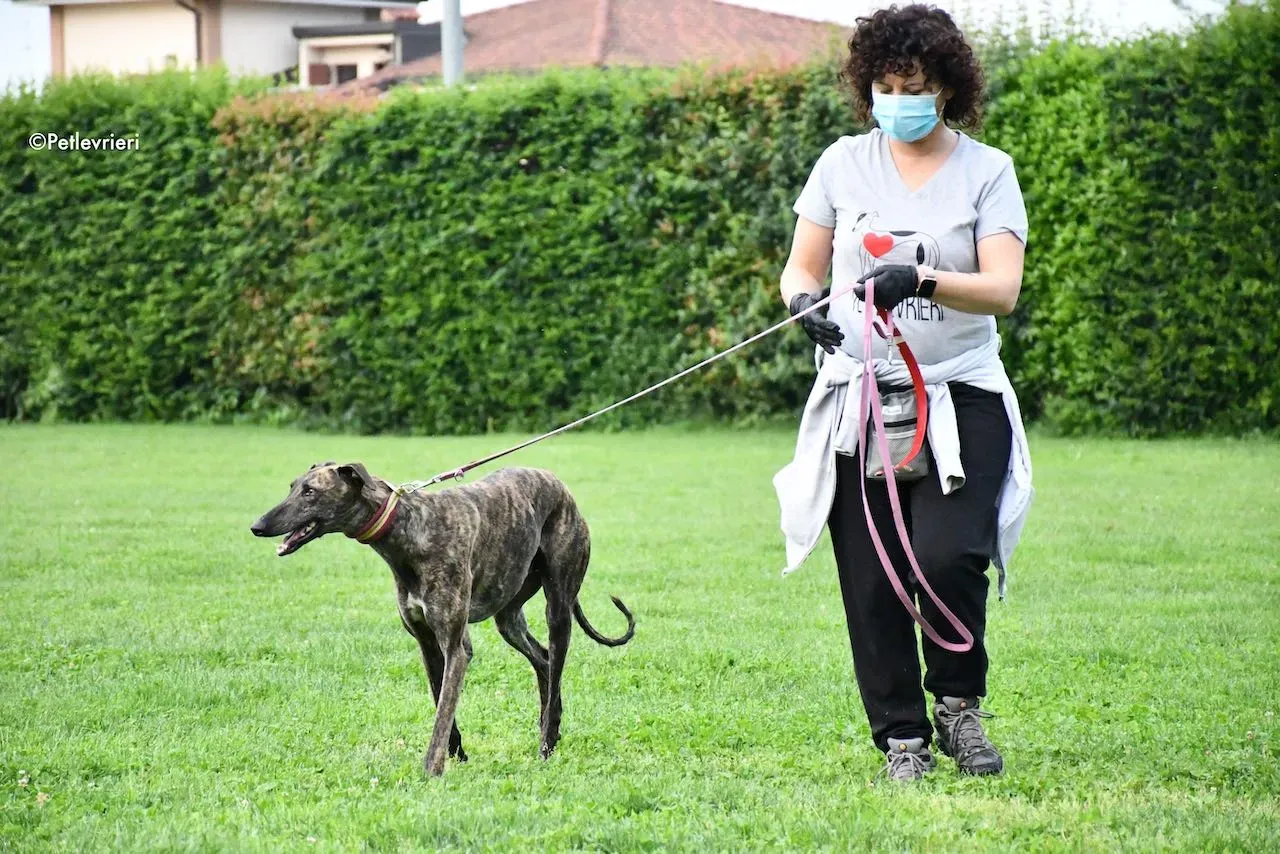 adoption day galgo 23 maggio 2020 41