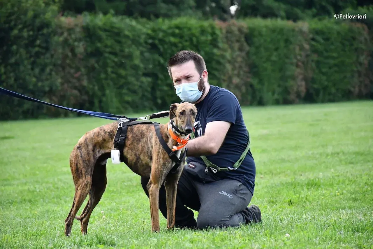 adoption day galgo 23 maggio 2020 43