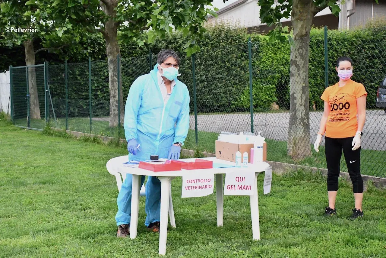 adoption day galgo 23 maggio 2020 52