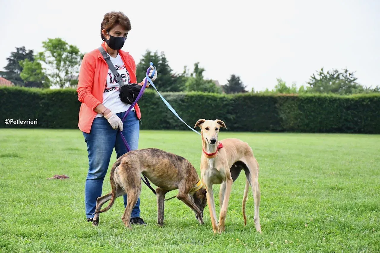 adoption day galgo 23 maggio 2020 59