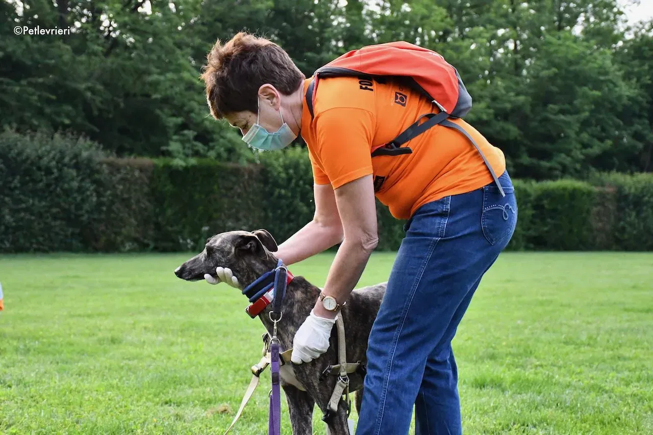 adoption day galgo 23 maggio 2020 78