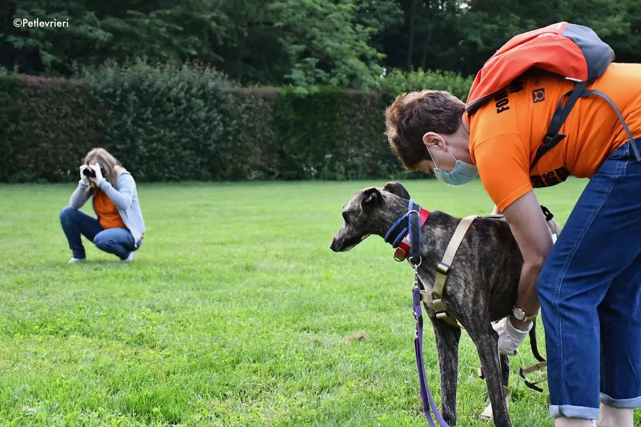 adoption day galgo 23 maggio 2020 79