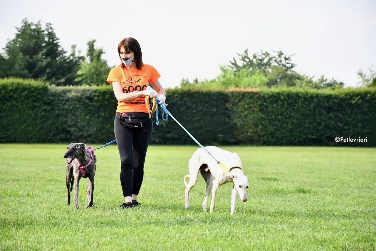 adoption day galgo 23 maggio 2020 88