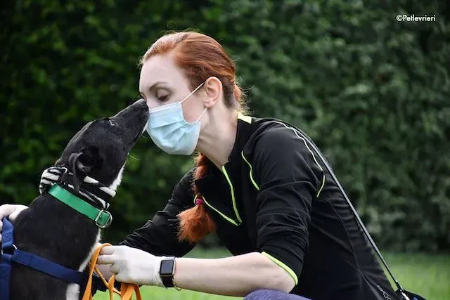 adoption day greyhound 16 maggio 2020 150