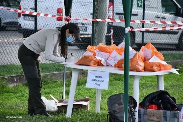 adoption day greyhound 16 maggio 2020 185