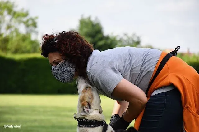 adoption day greyhound 16 maggio 2020 231