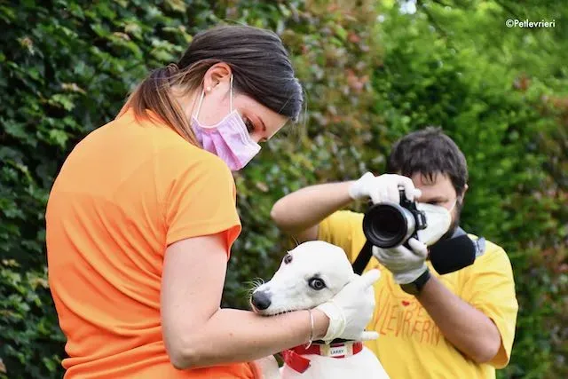 adoption day greyhound 16 maggio 2020 238