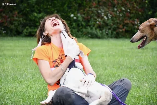 adoption day greyhound 16 maggio 2020 313