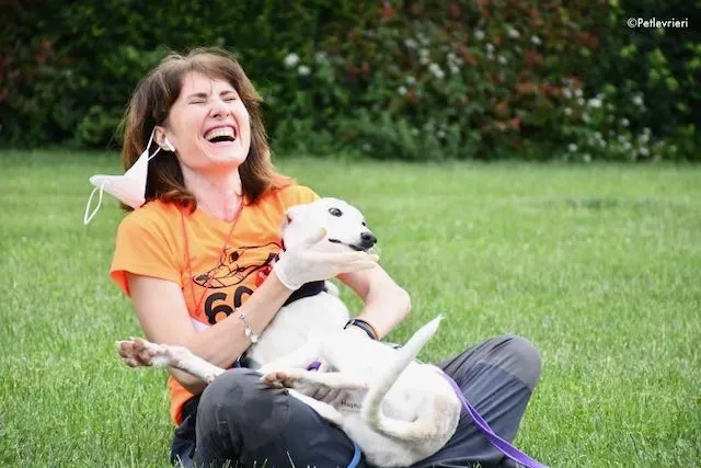 adoption day greyhound 16 maggio 2020 314