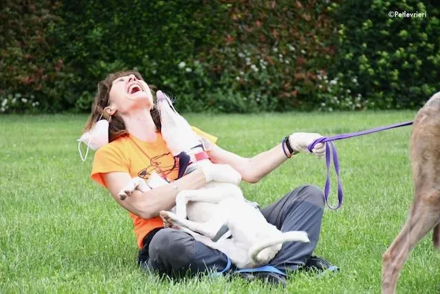 adoption day greyhound 16 maggio 2020 319