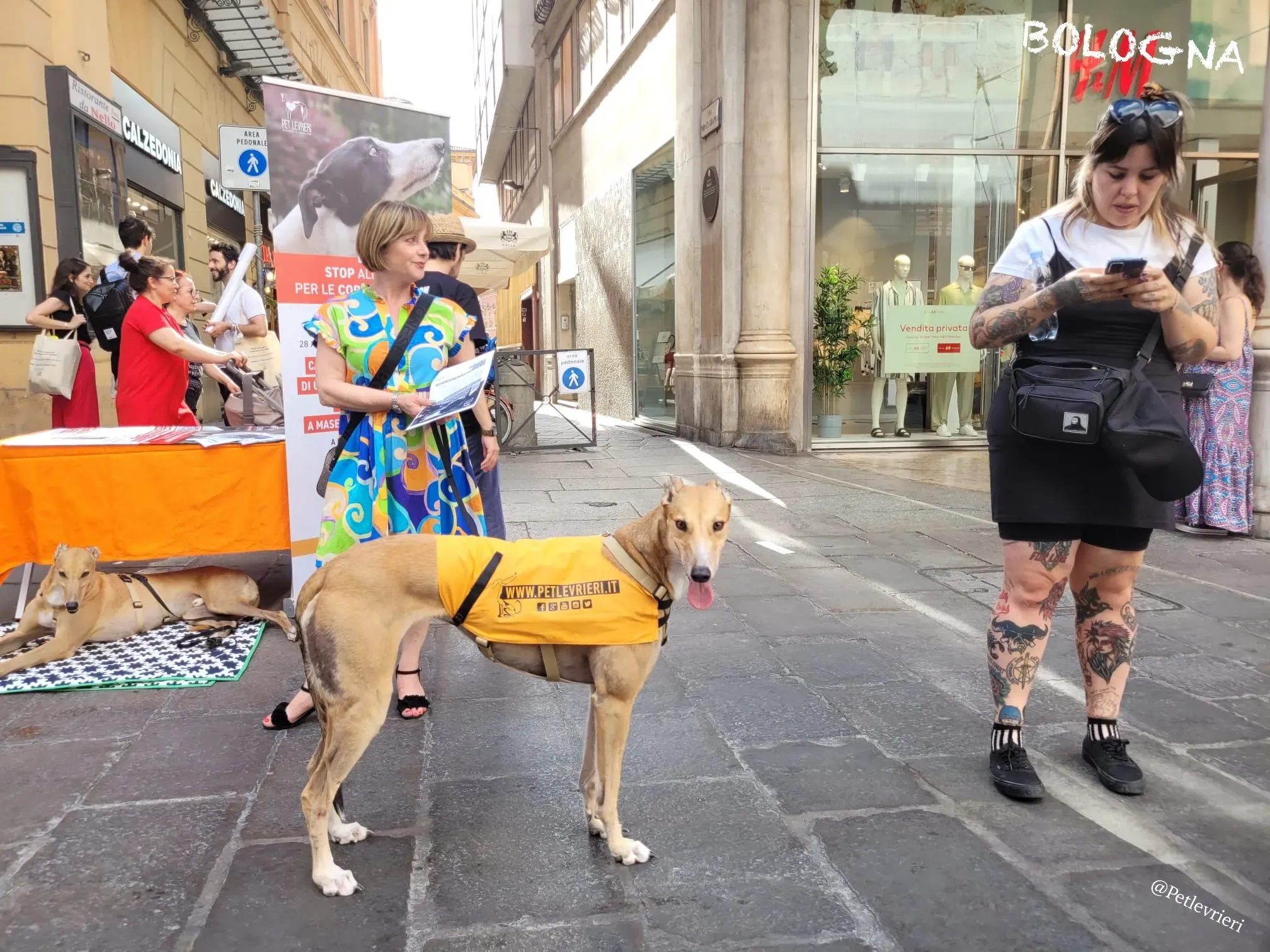 ae5c7937 a7aa 451a af00 6f672779c6ee risultato