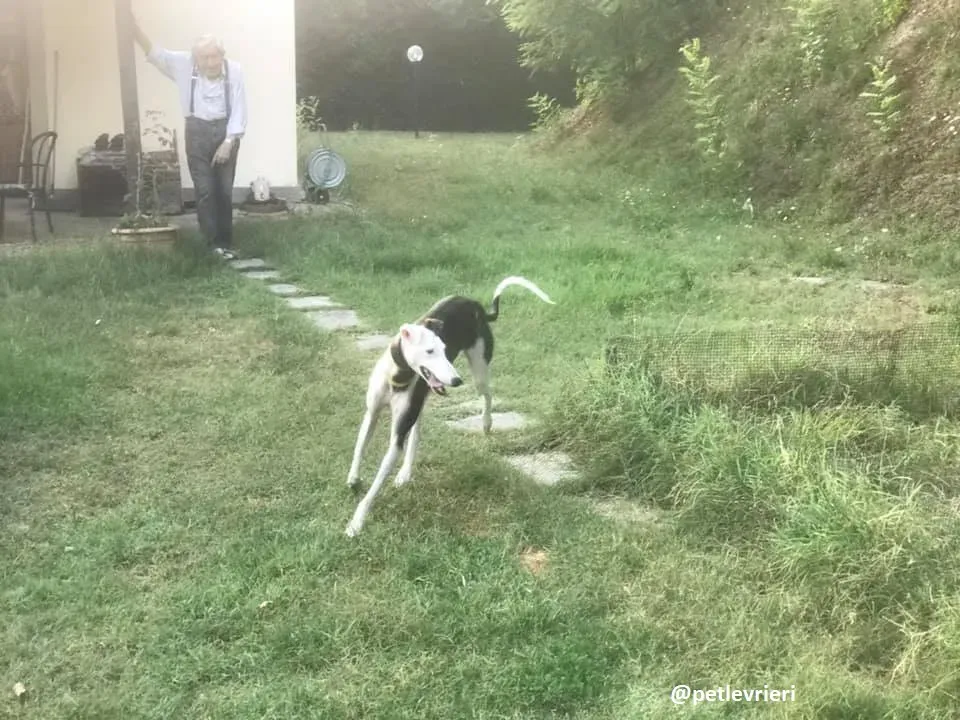 alma felice a casa 2