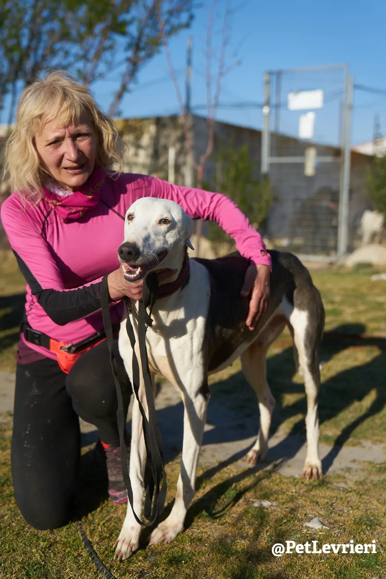 angelo adozione galgo 12