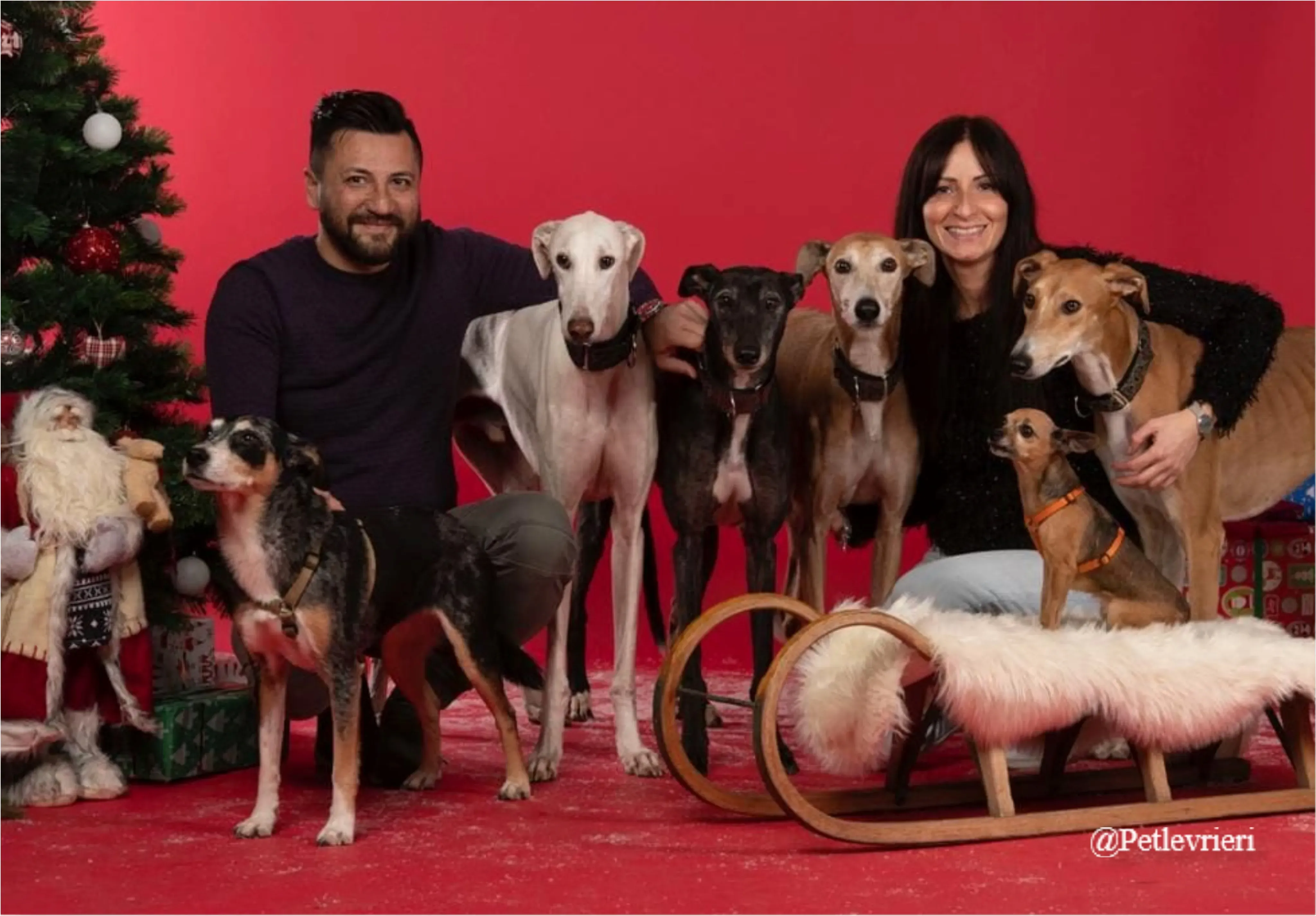 angelo daniela pet levrieri natale 2021