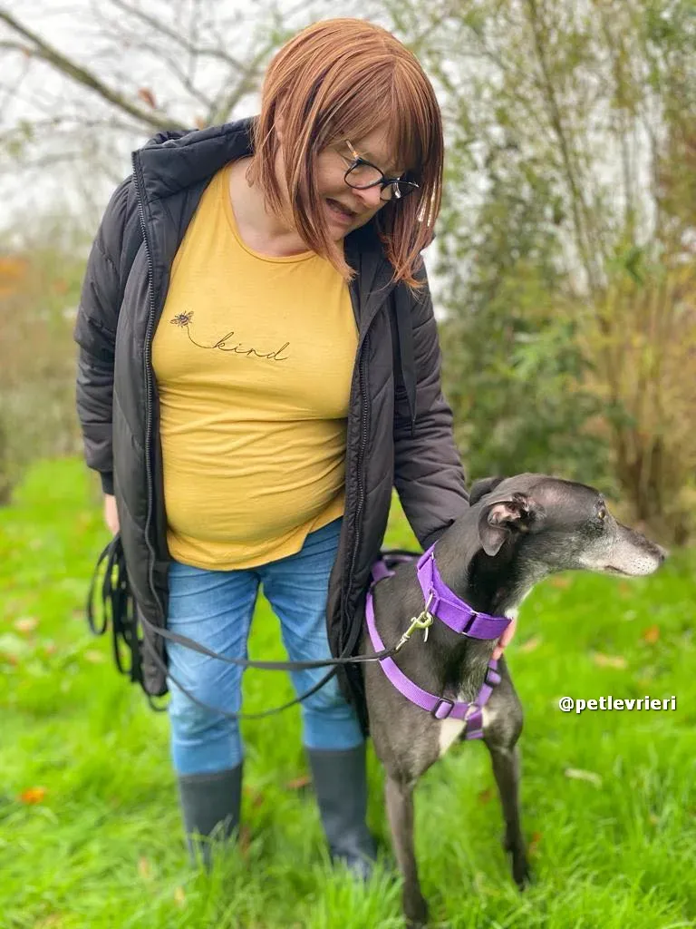 angus adozione greyhound lurcher pet levrieri 16