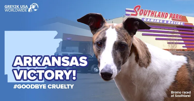 ar victory bromo vondra doherty of co