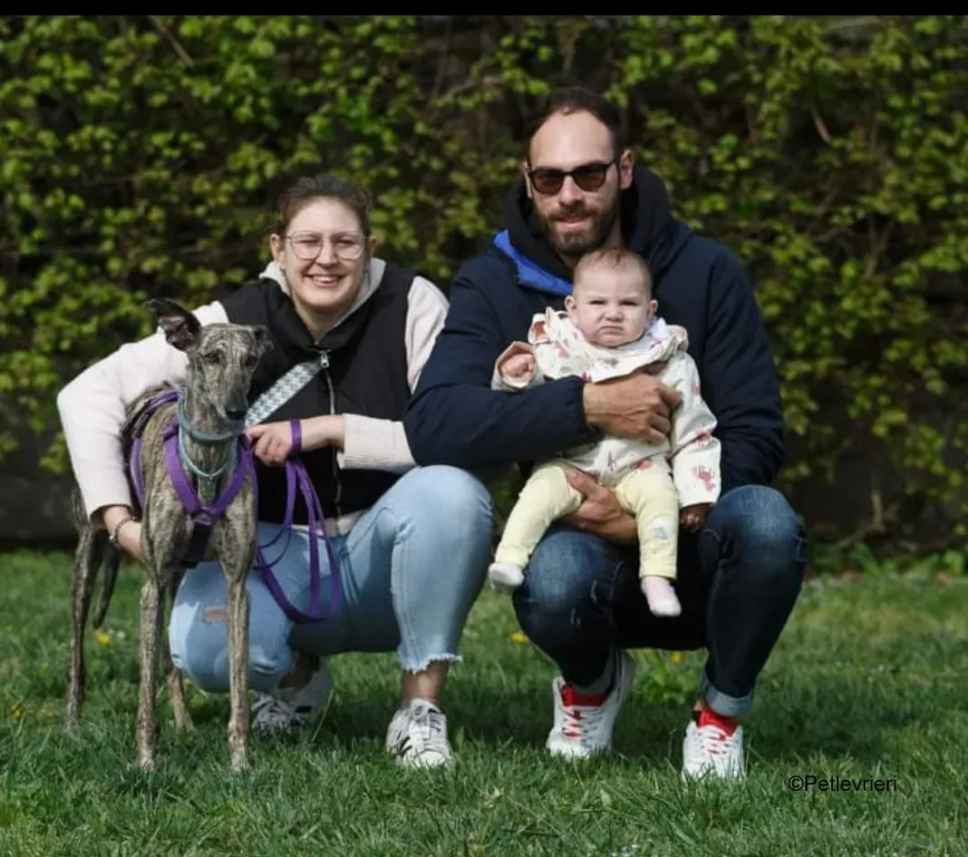 ariel pet levrieri galgo felici casa