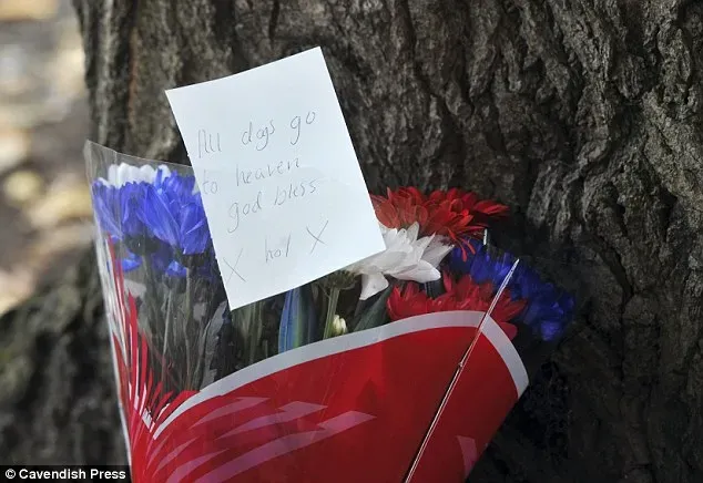 article 2752769 214E38F300000578 382 634x436