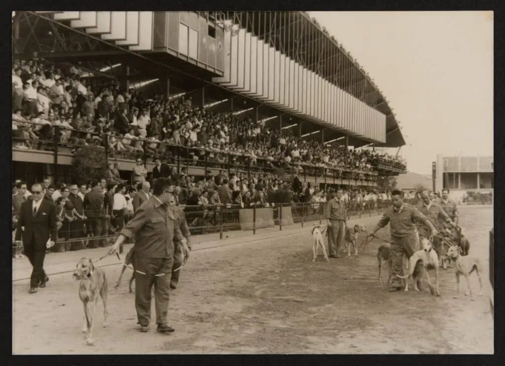 articolo denuncia petlevrieri 3 1