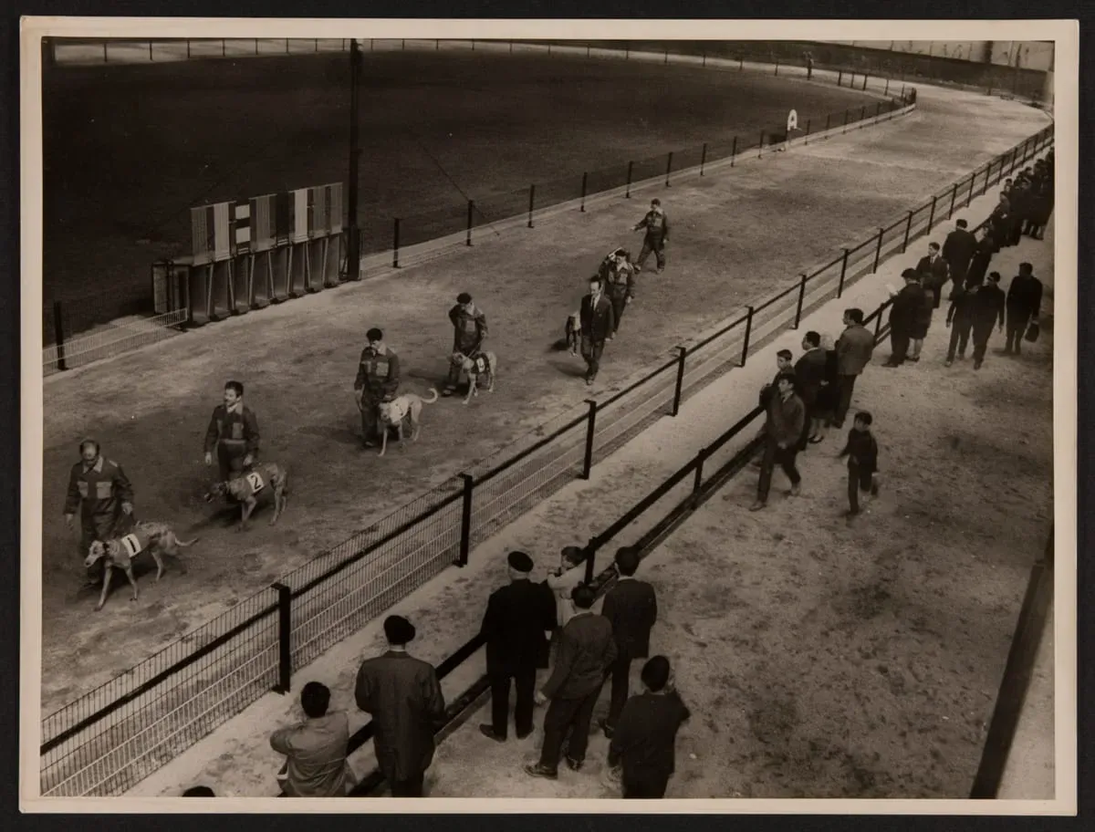 articolo denuncia petlevrieri 4