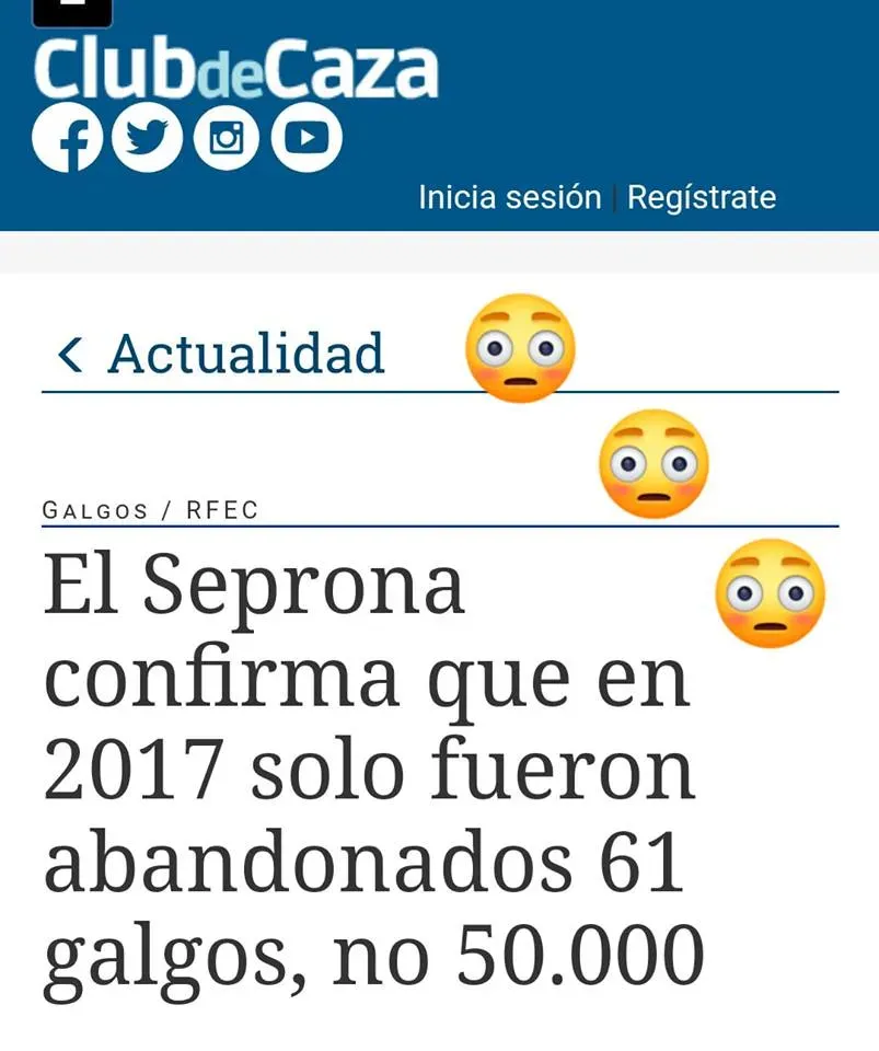 articolo galgo levrieri