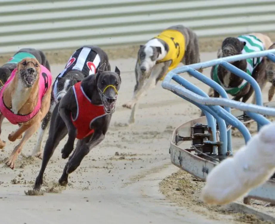 ashampoo snap 2025.03.11 14h31m32s 001 