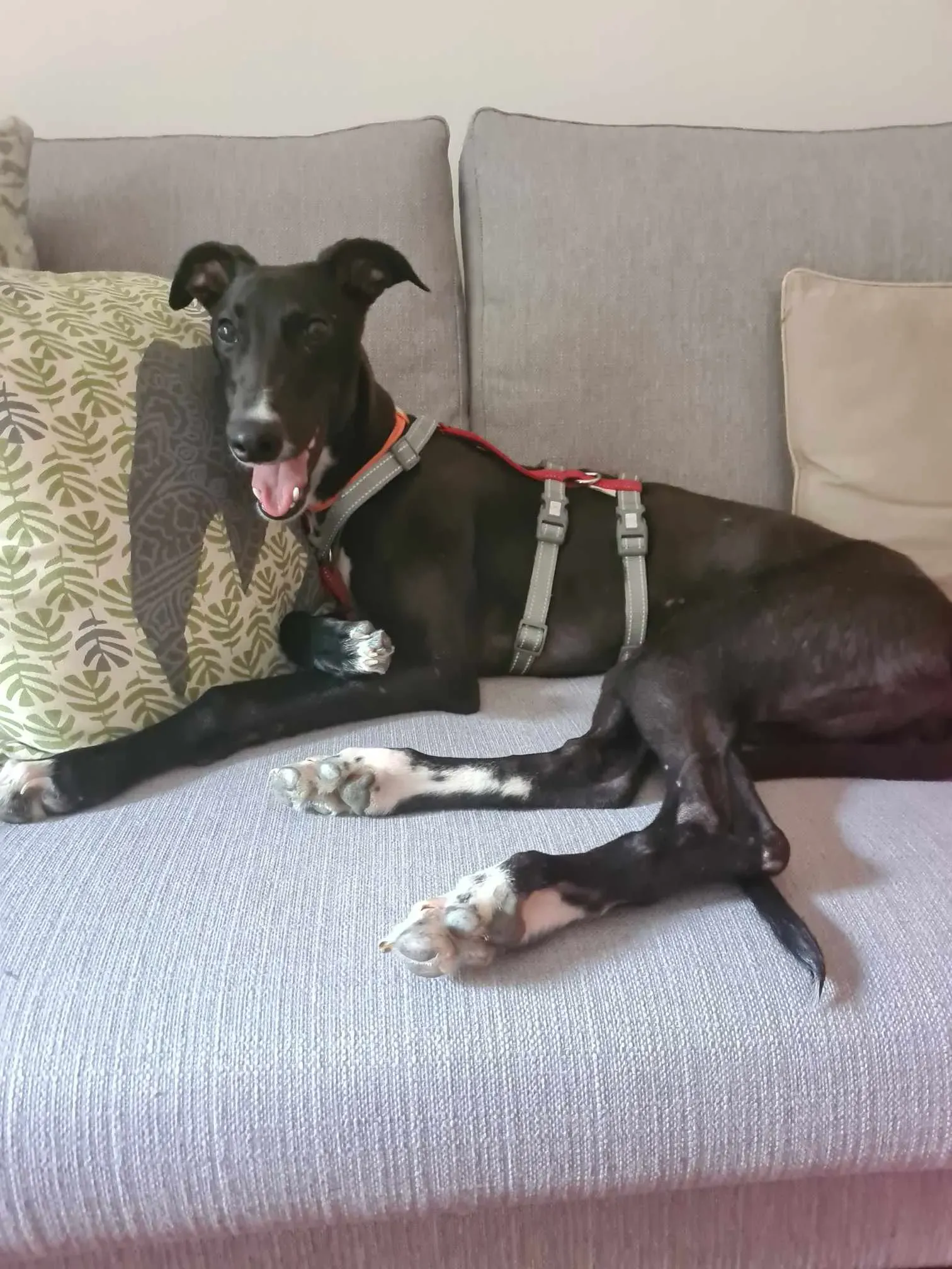 att.31jqf6km1todlcd3bp8htvodg4snnbbf4xeuebjh1co