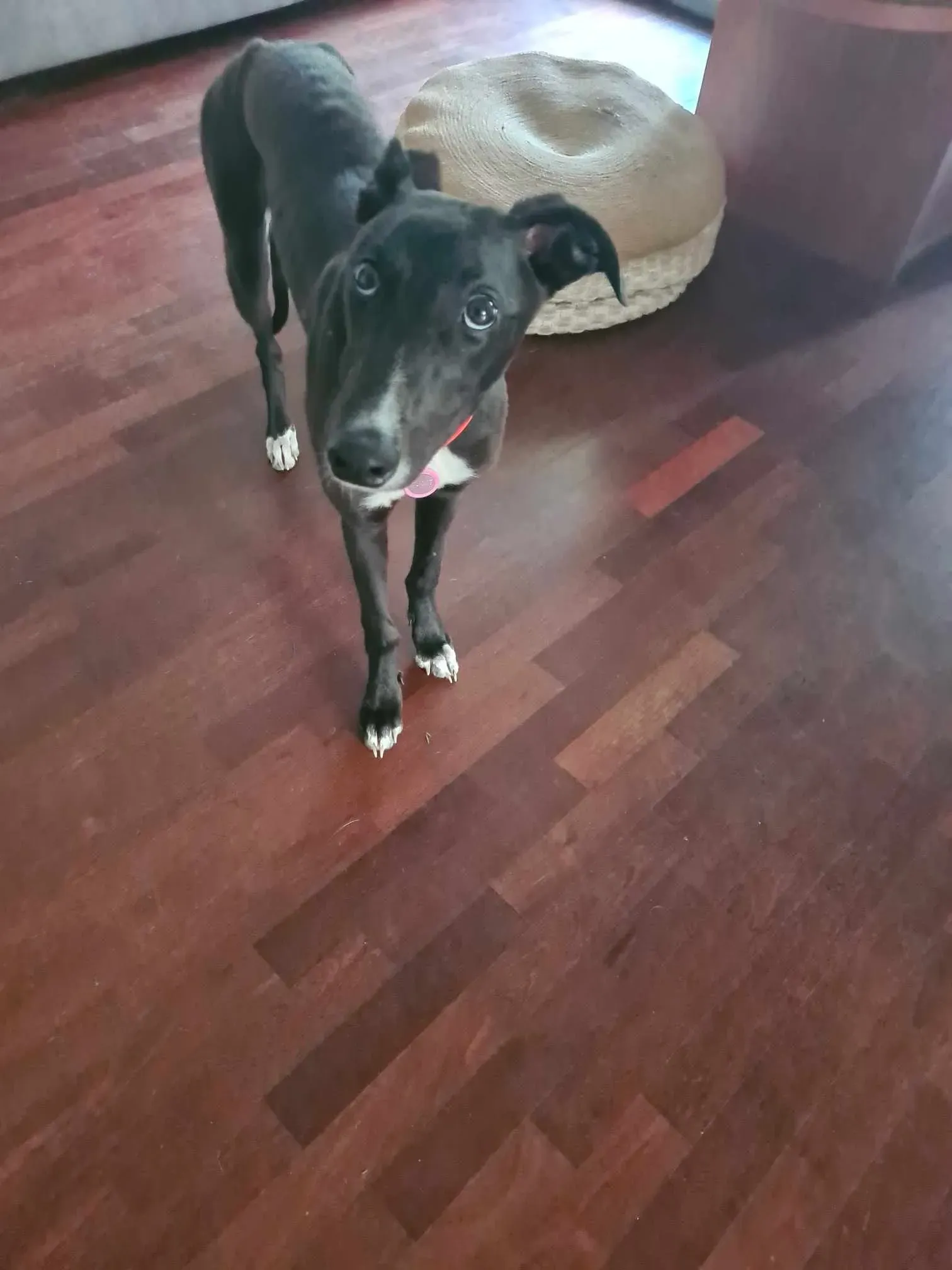 att.9gn 06kyd6wiagtx xeb9olicy9xzidt03 t4kbjga4