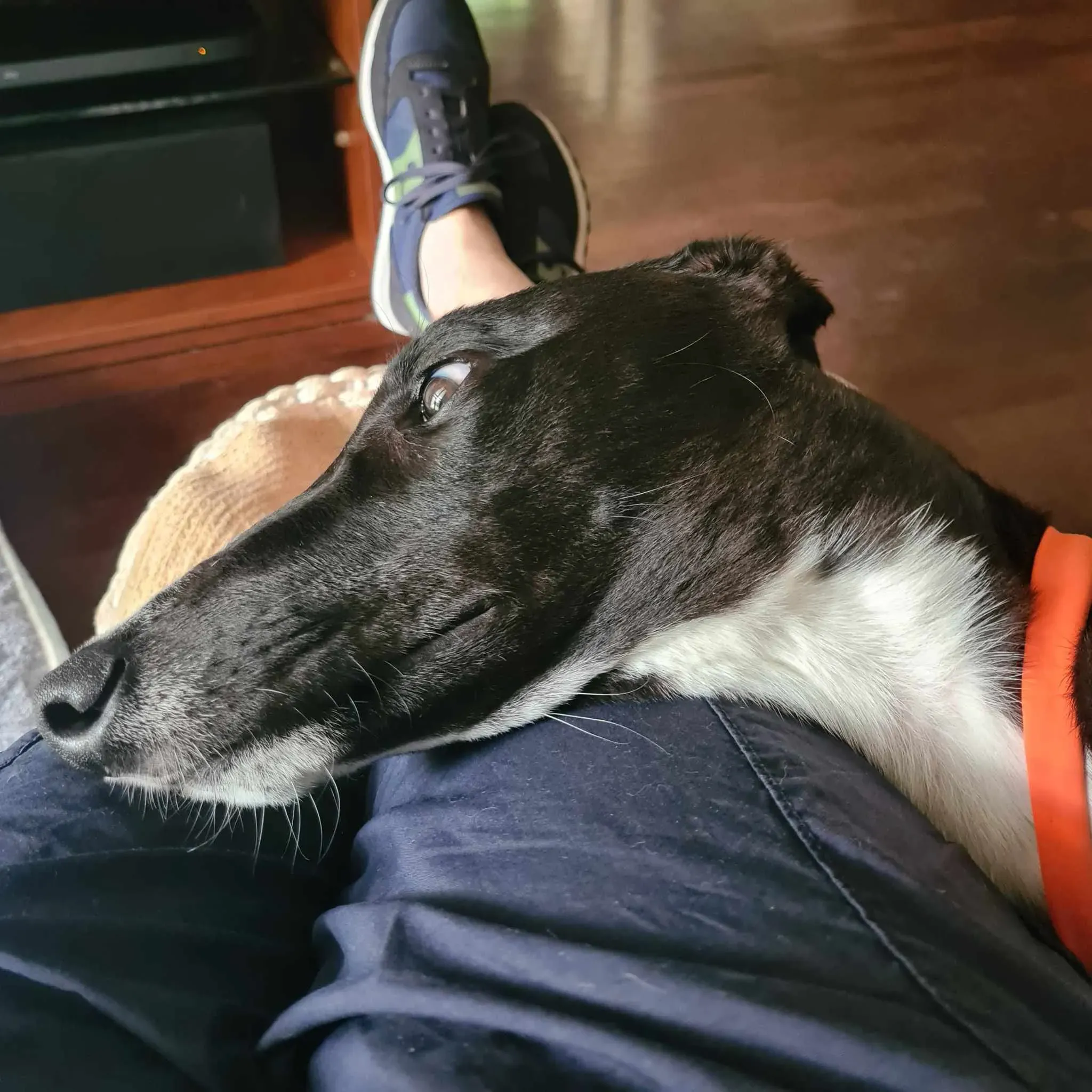 att.9nikbx9p0 4okyqac vxfbchdjgaizgkcdc4o9djgl8