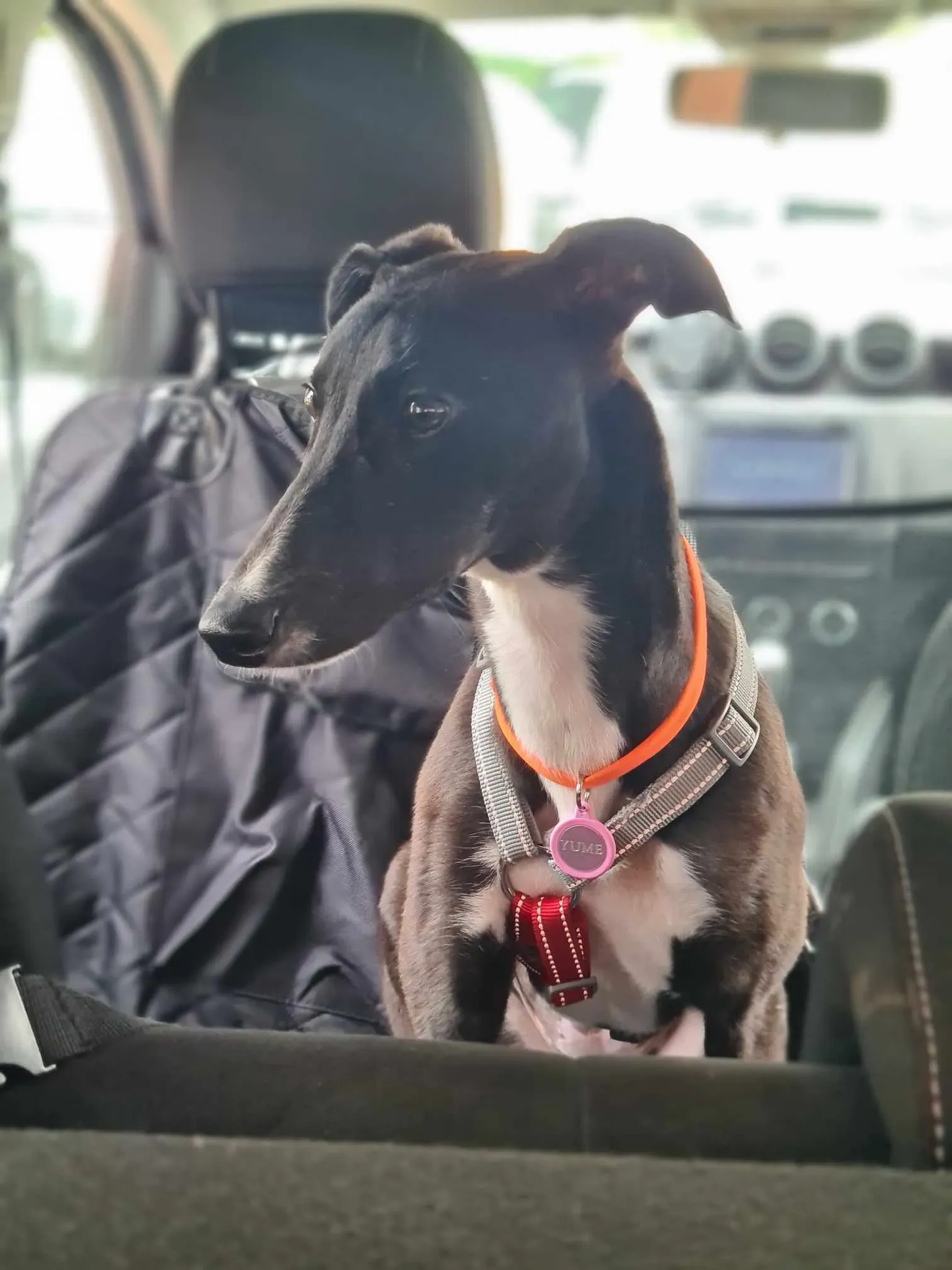 att. lnzdh7lhjeykadxrfk1i sqfemxuvmq jqmjysitos