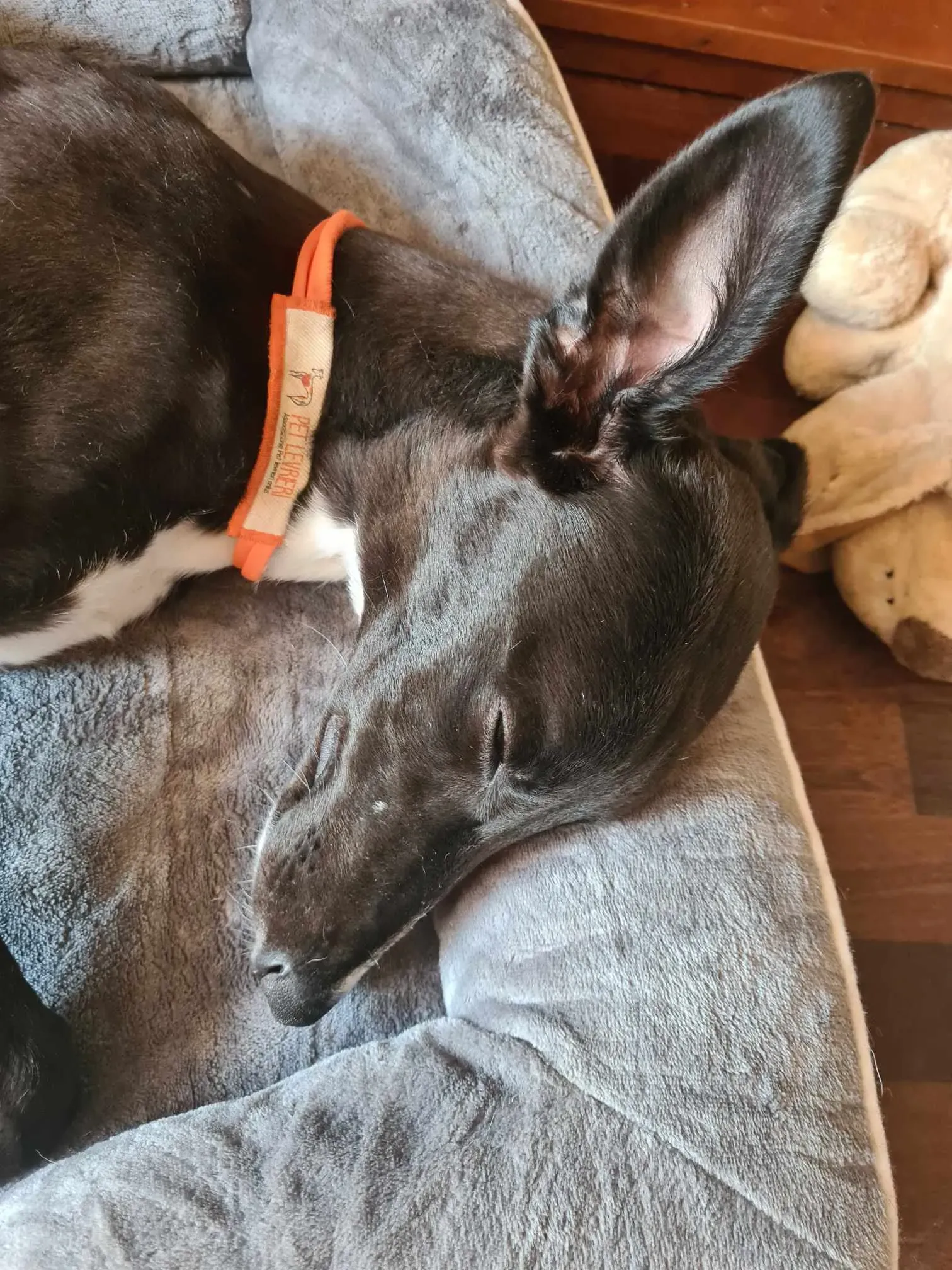 att.bo9kav3ibtm9r9lz ifg koln7lqlzkfq7cxf8nzi34