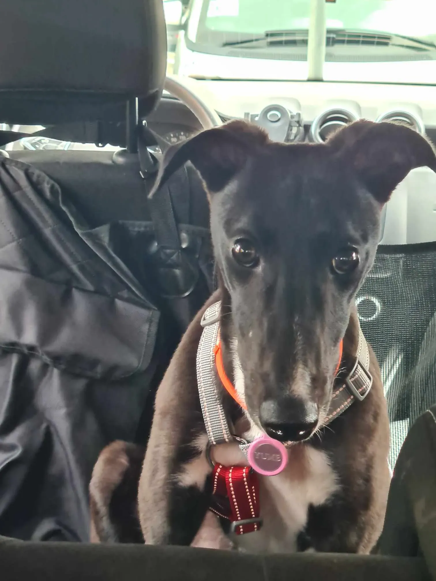 att.cpub7bvgox3qzzd9q cdubncqtrqs24vf5pjlhsocck