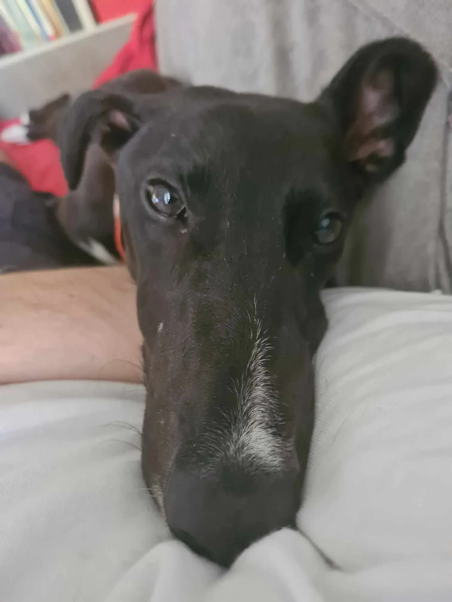 att.iecnbzjiudl2 bza7piifawjg8gc8v1ktlb9t38t3aw