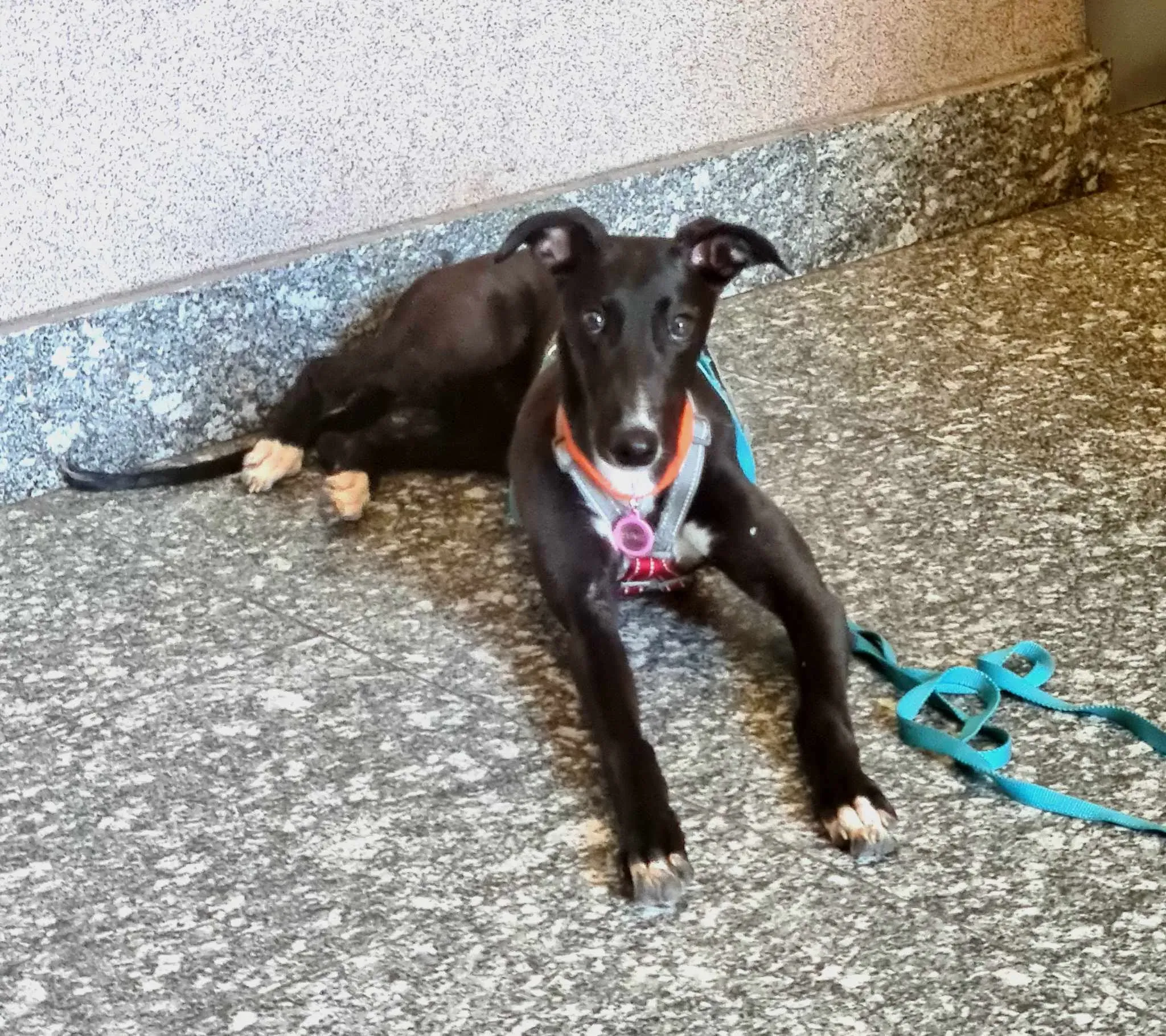 att.ji3skzyu6 47risd8ln zfa0nwoz53i1rgyki0h0dso