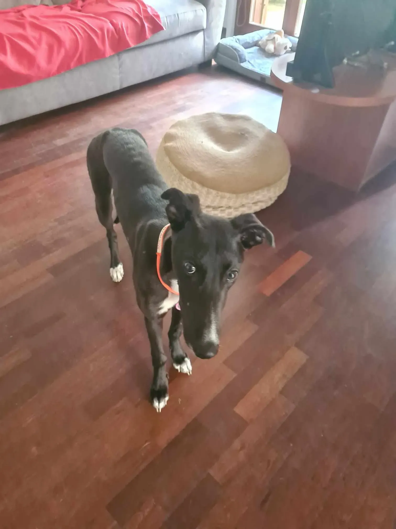 att.kgsxps9jt1xg30pg1roa31jl9bk9ia cbhutumfuwtq