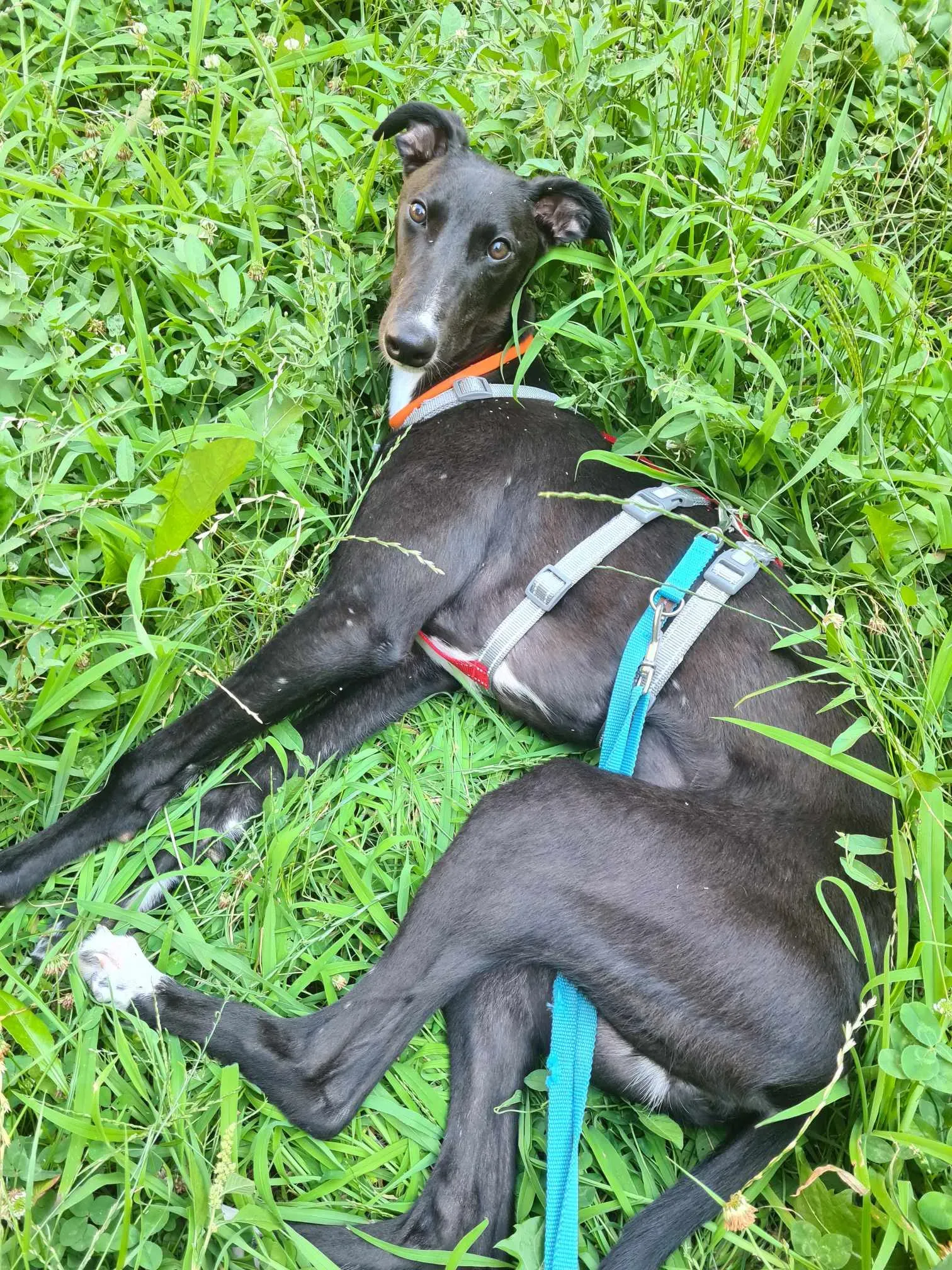 att.kwrdul0hwccfbumtqi2tsgz4wut24jkio9muxq7uiq8