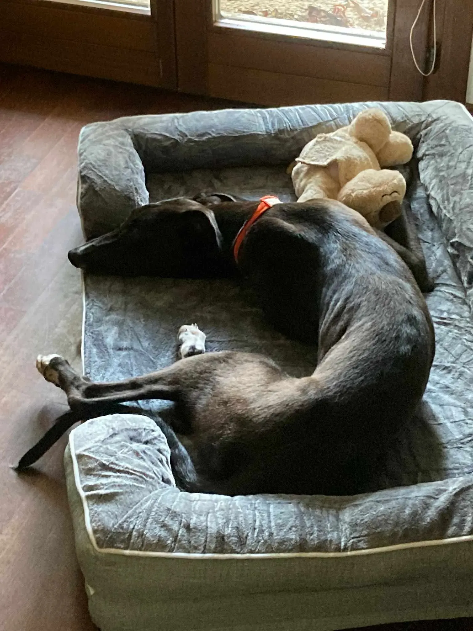 att.kwzbgieyf m fkri4ictim6rx8yvlm42sw5cfis9ed4