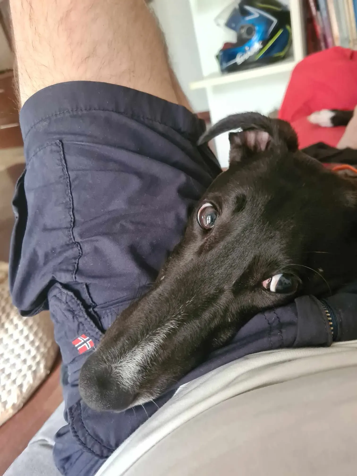 att.msqlmxgl154 vdbe56cocswf8upkm2 lnvrlzu4u 5m