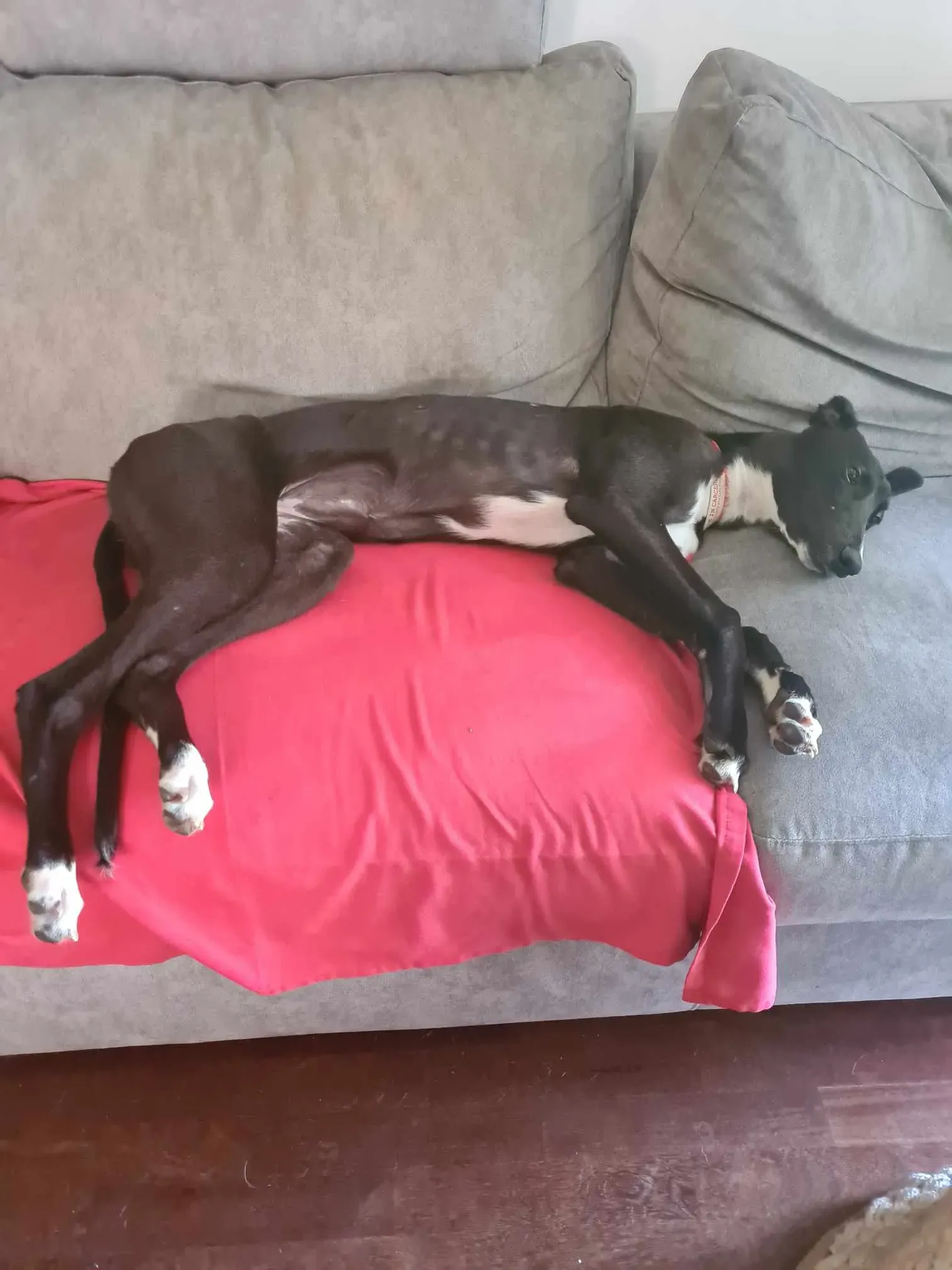 att.oxuxuodwo9utdggxa5gwumifdhb0da0f5q  xfpdxuw