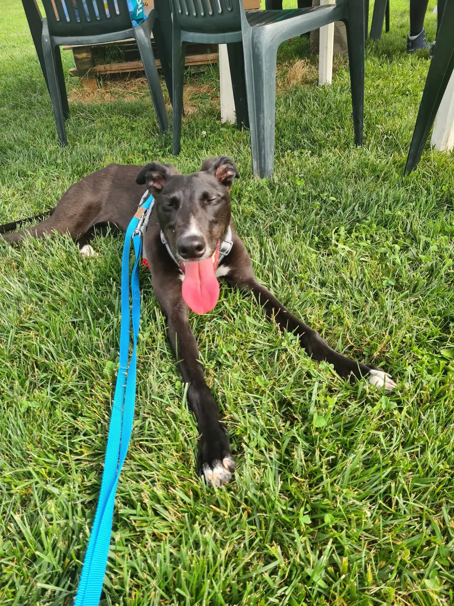 att.prbnf9acgrcmhxvxoxmbwop7oeule usufdcgucelao