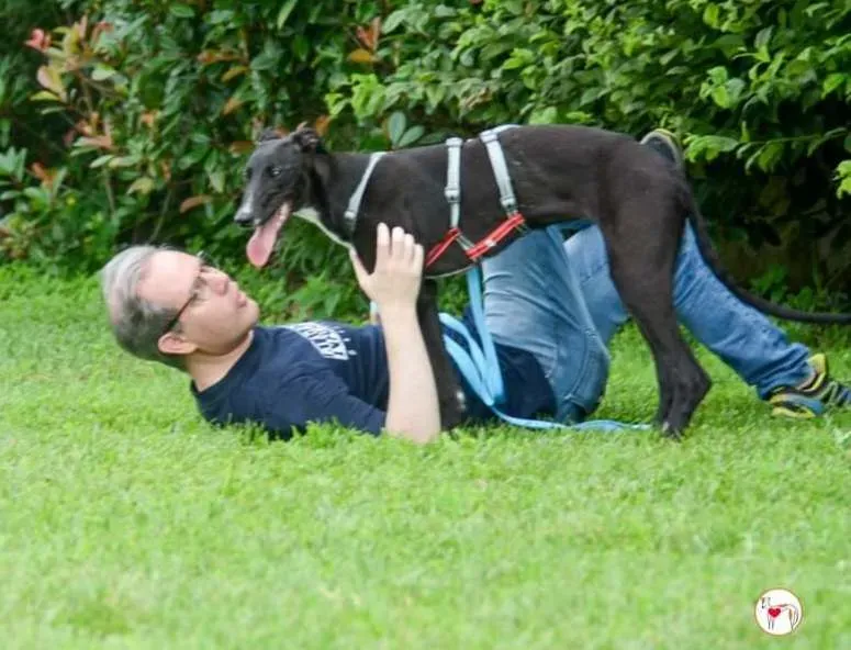 att.qrpwkauhm7rnl4twghi35jklapynql kvugo4zvszuk